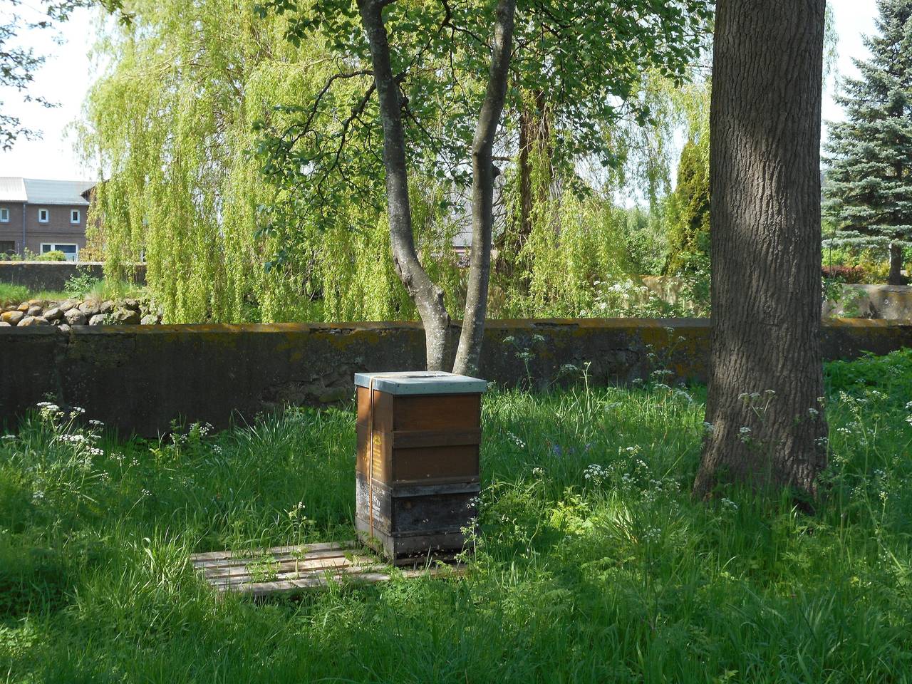 Ganze Ferienwohnung, Ferienhof Bisdorf "Sundbrücke" in Westfehmarn, Fehmarn