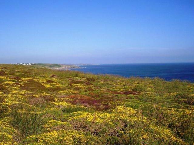 Location de vacances pour 5 personnes, avec jardin, animaux acceptés à Goulien - 4