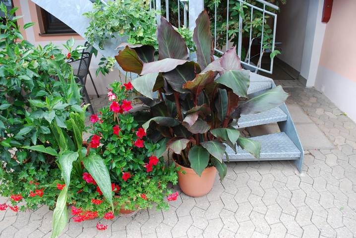 Ferienwohnung für 3 Personen, mit Balkon und Balkon/Terrasse sowie Terrasse und Garten in Fränkisches Seenland - 3