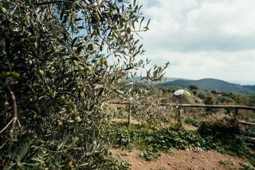 Agriturismo per 6 Persone in Gaiole in Chianti, Chianti, Foto 1