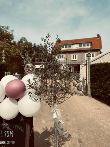 Chambre d’hôte pour 2 personnes, avec vue ainsi que terrasse et jardin à Hasselt