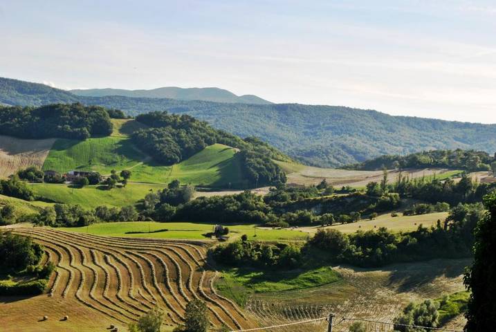 B&b per 4 persone, con Terrazza e Giardino nonché Panorama in Provincia di Parma