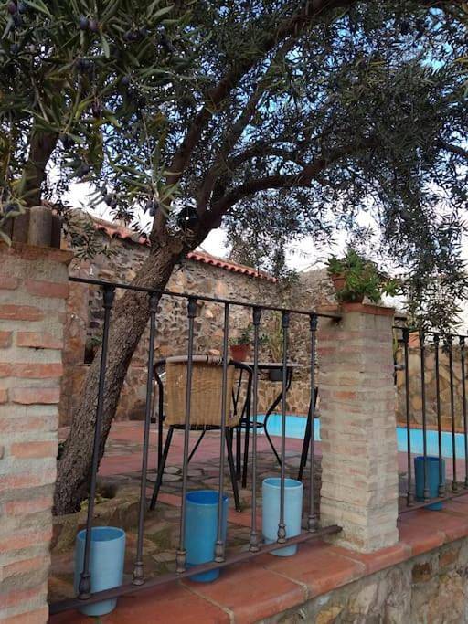 Casa de vacaciones para 5 personas, con jardín y piscina en Los Pedroches - 2