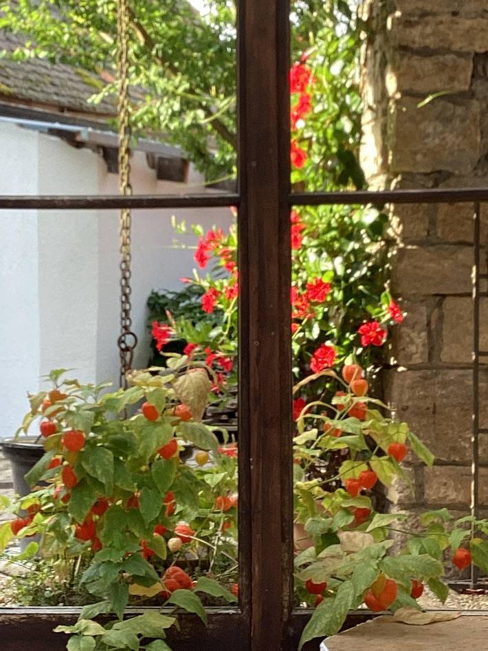 Ferienhaus für 4 Personen, mit Balkon in Volkach - 2