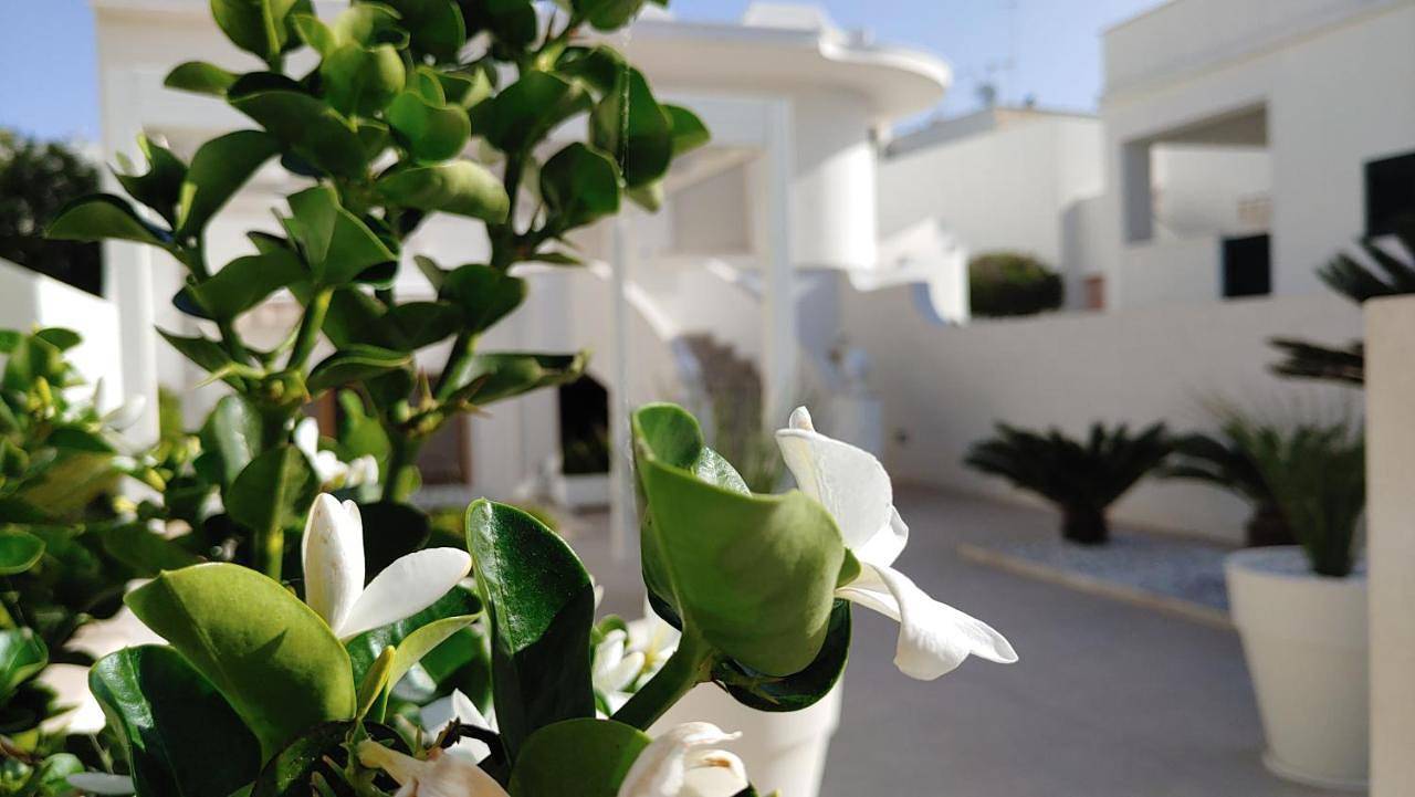 Three-Bedroom Villa in Leuca, Castrignano del Capo