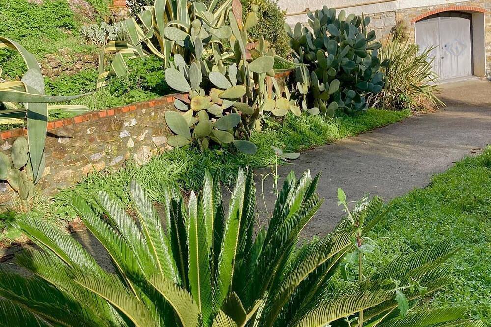 Ferienhaus Diano San Pietro für 1 - 4 Personen mit 3 Schlafzimmern - Ferienhaus in Diano San Pietro, Riviera di Ponente