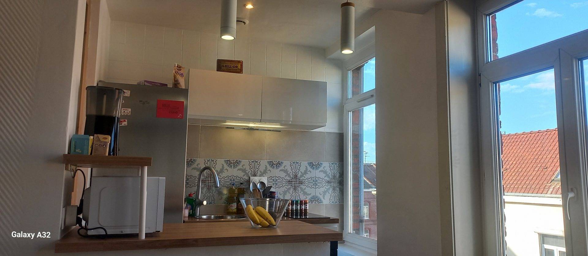 Appartement entier, Le nid des pygargues, bel appartement lumineux in Lille, Région de Lille