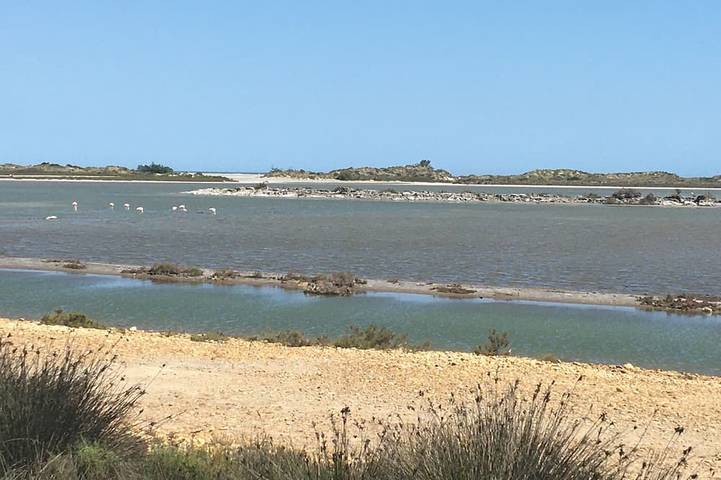 Appartement de vacances pour 4 personnes, avec piscine ainsi que terrasse et jardin