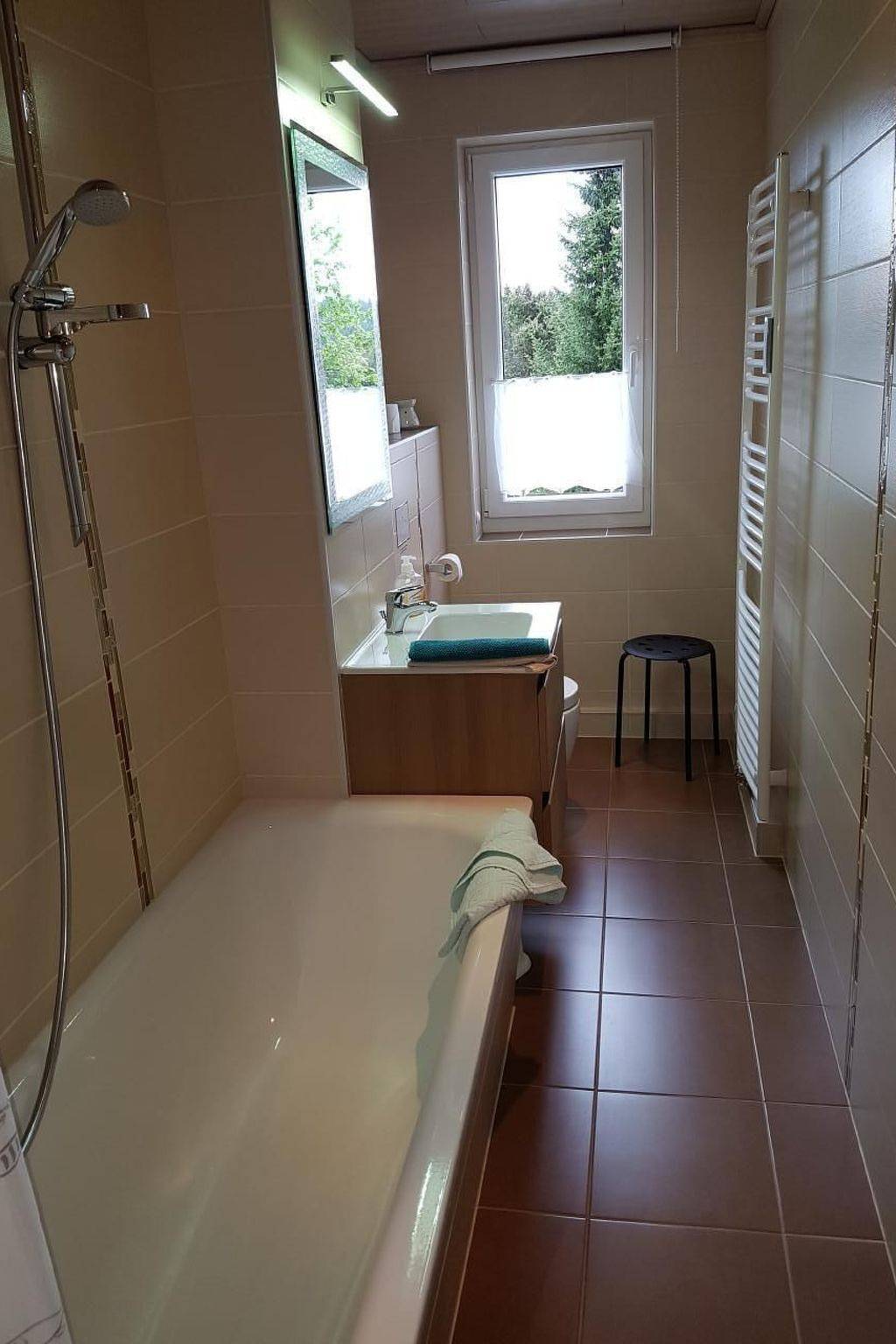 Ganze Wohnung, Fewo "Auersberg" Wgh in Eibenstock, Erzgebirge