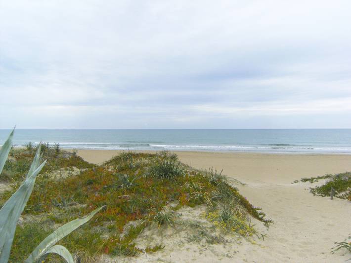 Ferienhaus für 8 Personen, mit Garten und Terrasse, mit Haustier in Dénia - 3