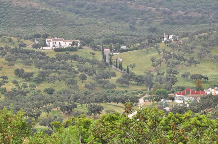 Location de vacances pour 23 personnes, avec Balcon et Jacuzzi ainsi que Terrasse et Jardin à Villanueva del Río y Minas