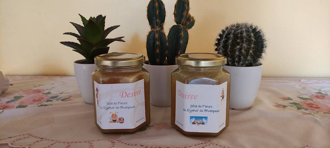 Location de vacances pour 2 personnes, avec jardin, animaux acceptés dans Parc naturel régional Périgord-Limousin - 4