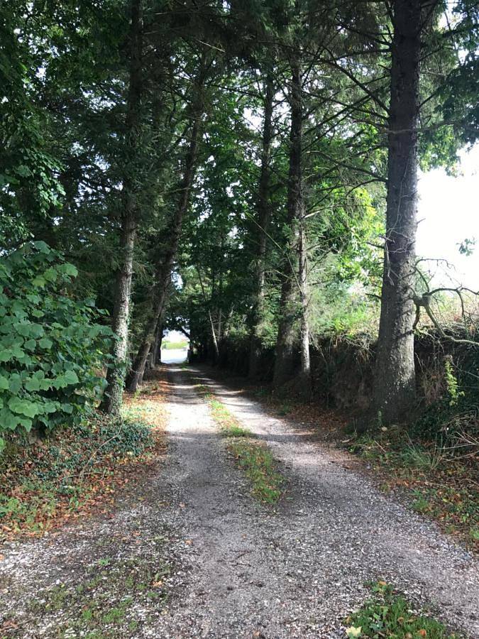 Location de vacances pour 4 personnes, avec terrasse à Minihy-Tréguier - 4