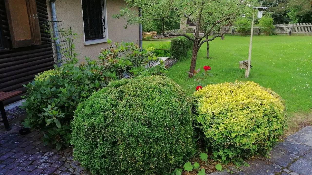 Ferienhaus für 2 Personen (60 m²) in Bad Salzungen in Bad Salzungen, Wartburg und Umgebung