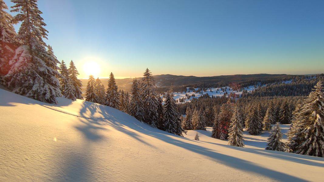 Gîte für 15 Personen mit Whirlpool in La Pesse, Regionaler Naturpark Hochjura
