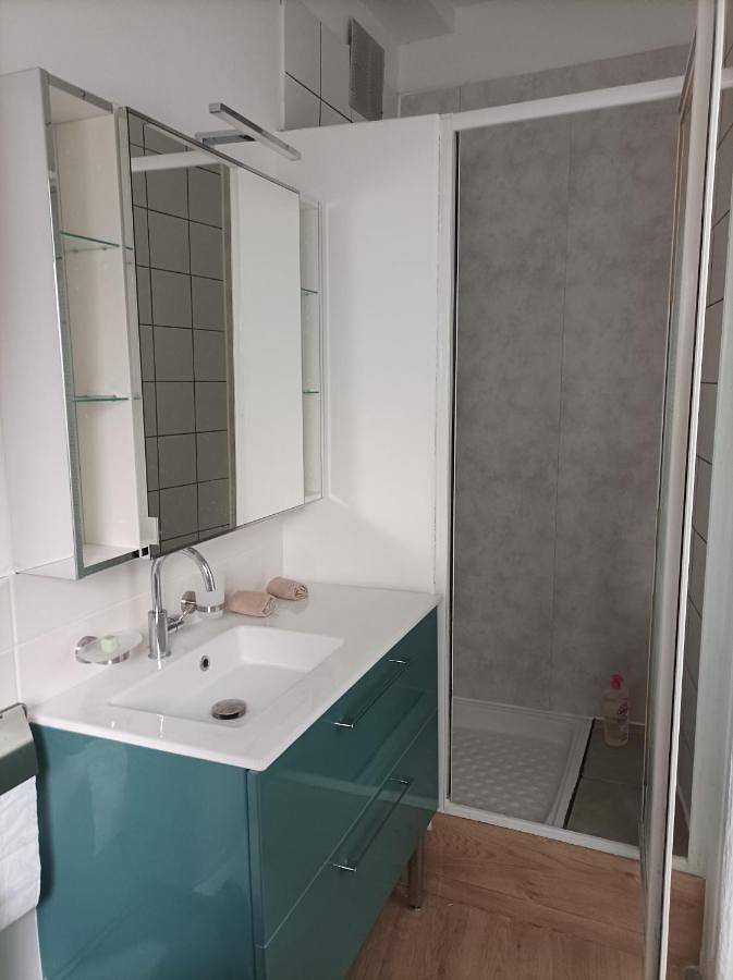 Maison d’hôte pour 4 personnes, avec vue, animaux acceptés à Bourges - 3