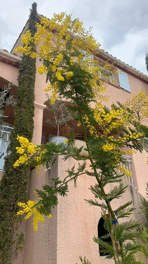 Gîte pour 2 personnes, avec jardin et vue ainsi que balcon et piscine à Château-Arnoux-Saint-Auban - 2