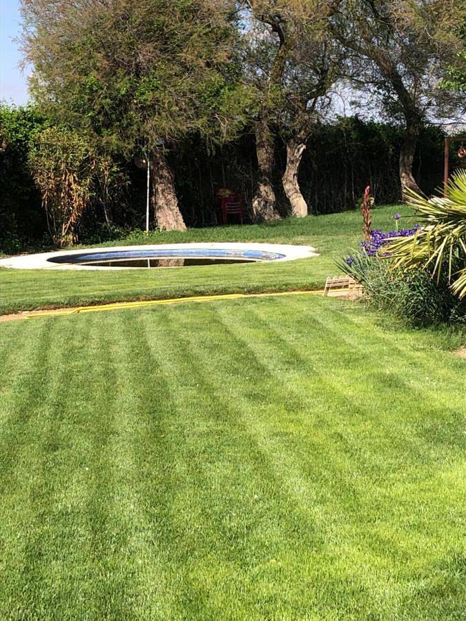 Casa de vacaciones para 12 personas, con piscina además de jardín y vistas al lago, Se admiten mascotas en Mancha Alta de Toledo - 3