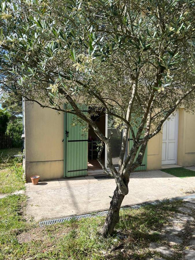 Location de vacances pour 5 personnes, avec terrasse et jardin à Saint-Sulpice-et-Cameyrac - 3