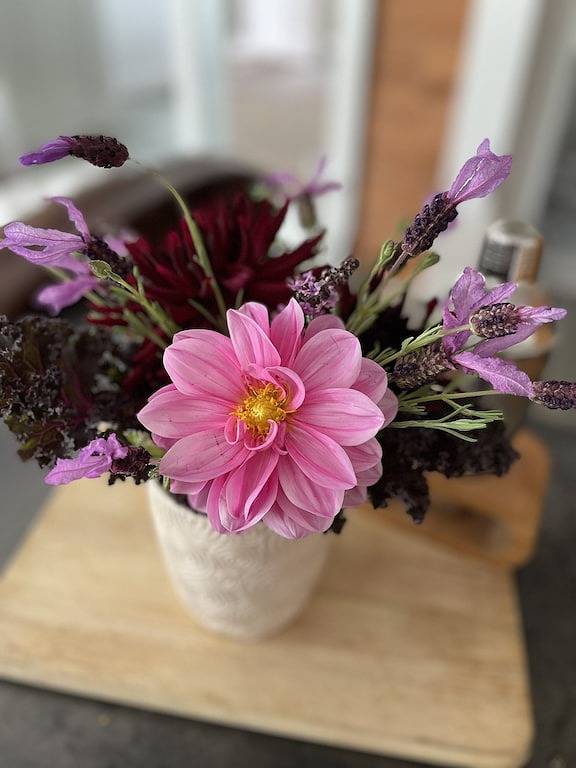 Ganze Wohnung, Gorgeous Garden Getaway, Near Cafes, Parks in Seattle, King County