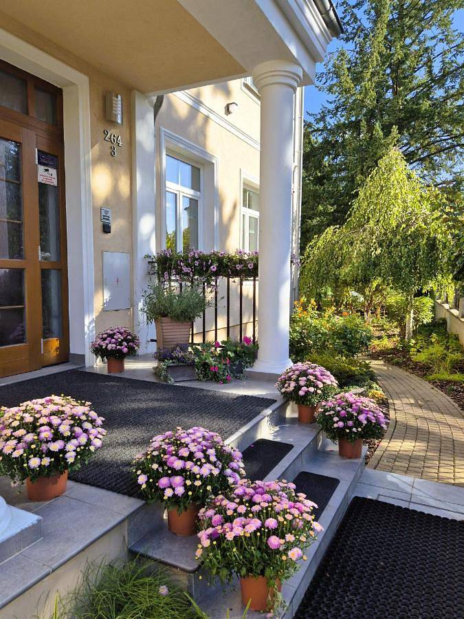 Hotel für 2 Personen, mit Terrasse und Garten sowie Sauna und Ausblick in Marienbad