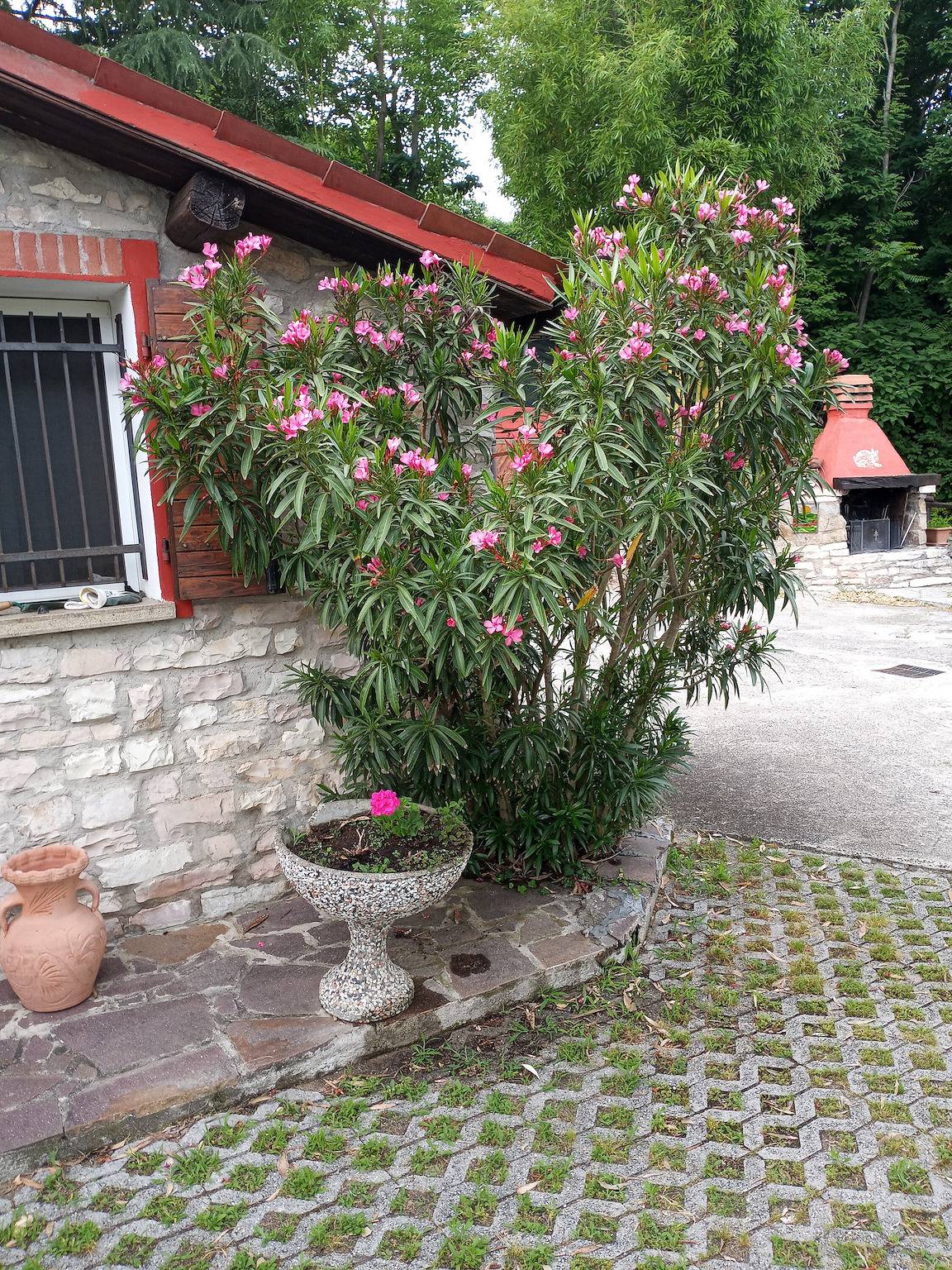 Chalet 'Olive Grove House' con terraza privada y Wi-Fi in Albettone, Provincia de Vicenza