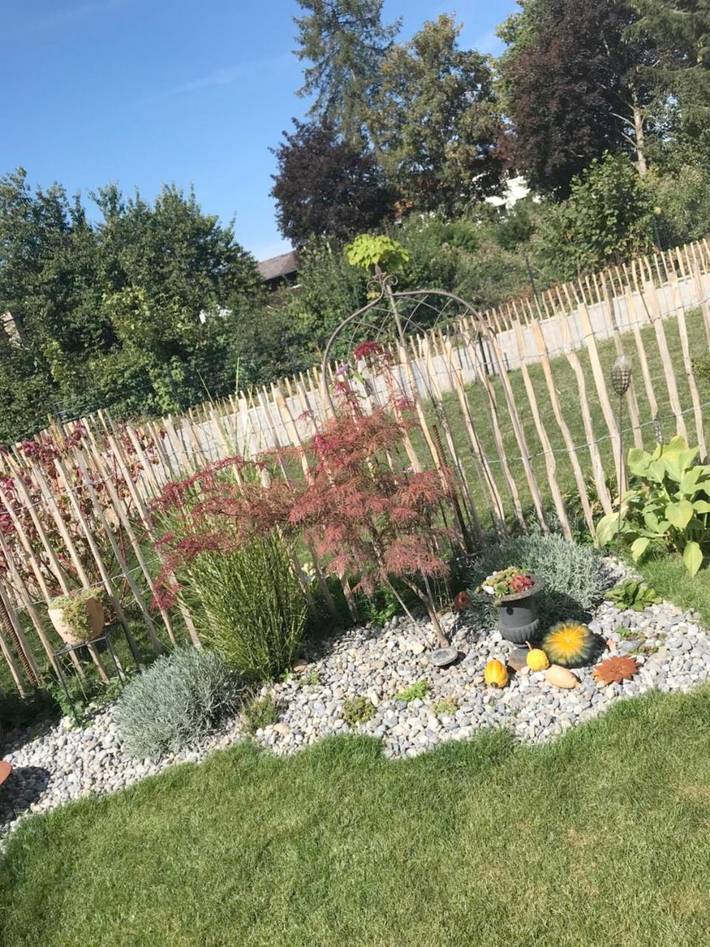 Location de vacances pour 6 personnes, avec jardin, animaux acceptés à Owingen - 2