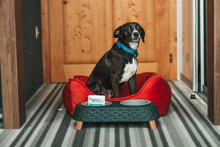 Gîte pour 3 personnes, adapté aux familles dans Radawa - 3