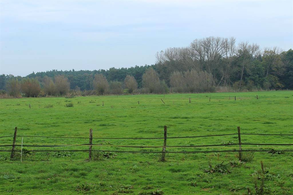 Ganze Ferienwohnung, Appartement/Fewo, Dusche und Bad, Wc, 3 Schlafräum in Wienhausen, Lüneburger Heide