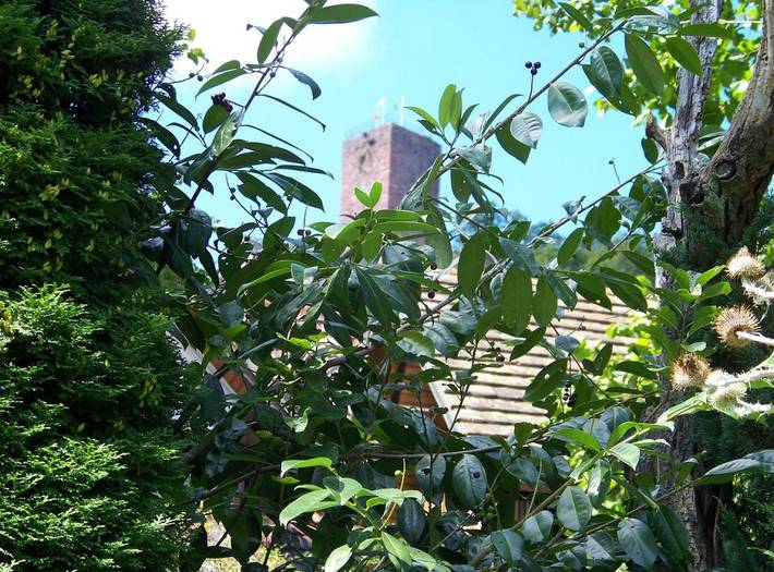 Ganze Ferienwohnung, Gästehaus Kaiser - Ferienwohnung, 70qm, 1 Schlafzimmer, max. 3 Personen in Bad Liebenzell, Nordschwarzwald