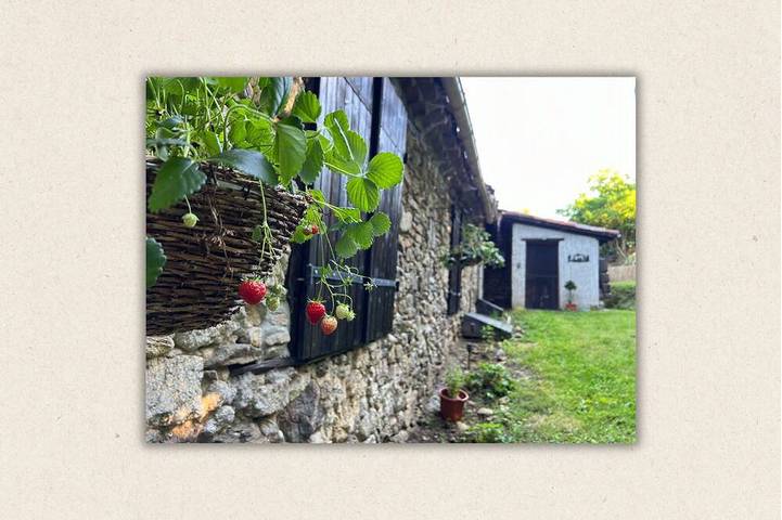 Gîte pour 4 personnes, animaux acceptés à Prayols