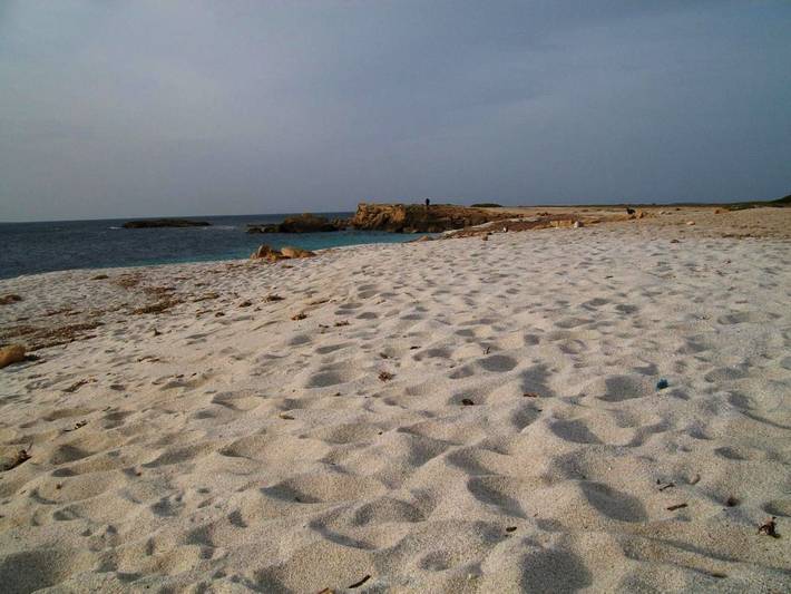 Maison d’hôte pour 2 personnes à Oristano - 4