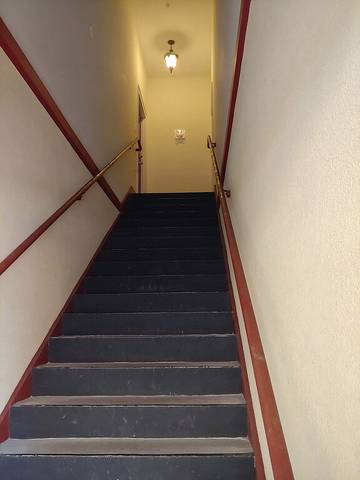 Cabin for 4 Guests in Mount Dora, Lake County, Picture 3