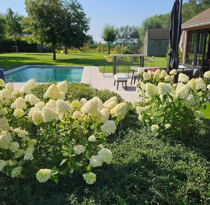 Ferienwohnung für 4 Personen, mit Whirlpool und Terrasse sowie Garten und Pool in Damme (Belgien)