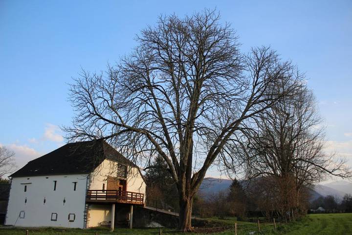 Location de vacances pour 23 personnes, avec vue et terrasse à Alos-Sibas-Abense