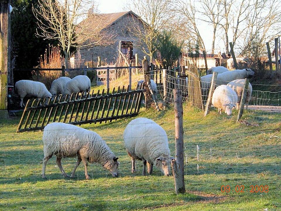 Le Grand Moulin - Chambre Jaune in Les Grands-Chézeaux, Région de Bellac