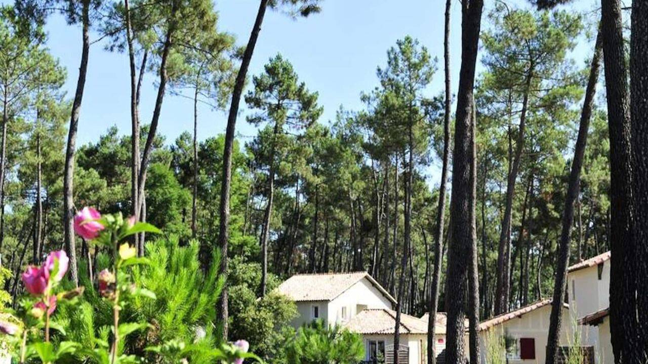 Apartamento vacacional entero, Ferienwohnung für 4 Personen (30 m²) in Casteljaloux in Lago de Clarens, Casteljaloux