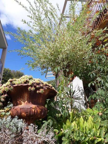 Ferienwohnung für 2 Personen, mit Garten in der Schweiz - 3