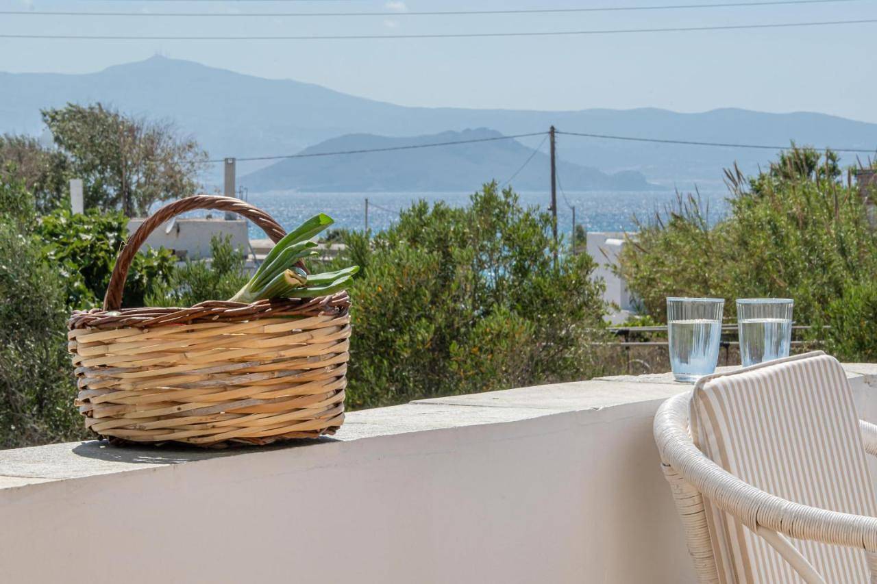 Studios Farma in Agia Anna, Naxos