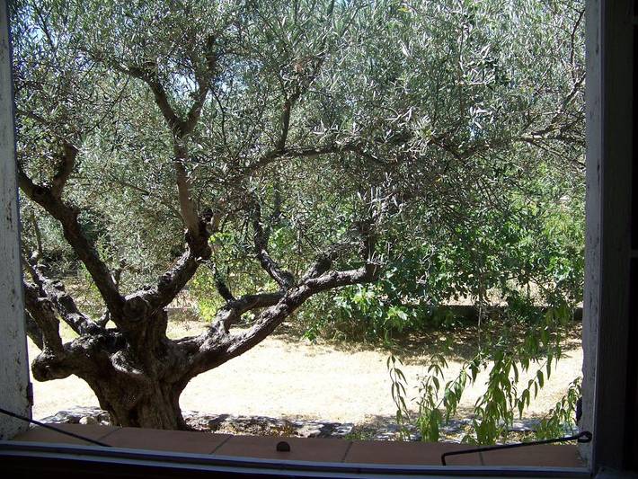 Gîte pour 4 personnes, avec jardin et vue dans le Var - 4