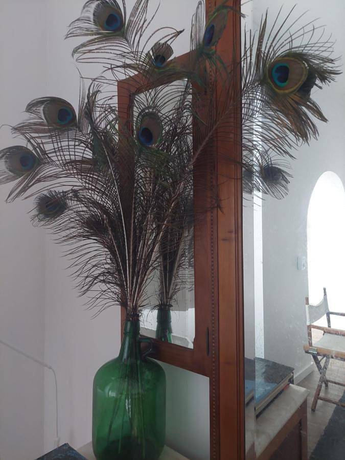 Gîte pour 2 personnes, avec terrasse à Beja - 3