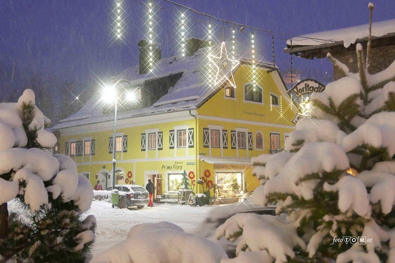 Ganze Wohnung, Ferienappartement Royer in Schladming, Schladming-Dachstein