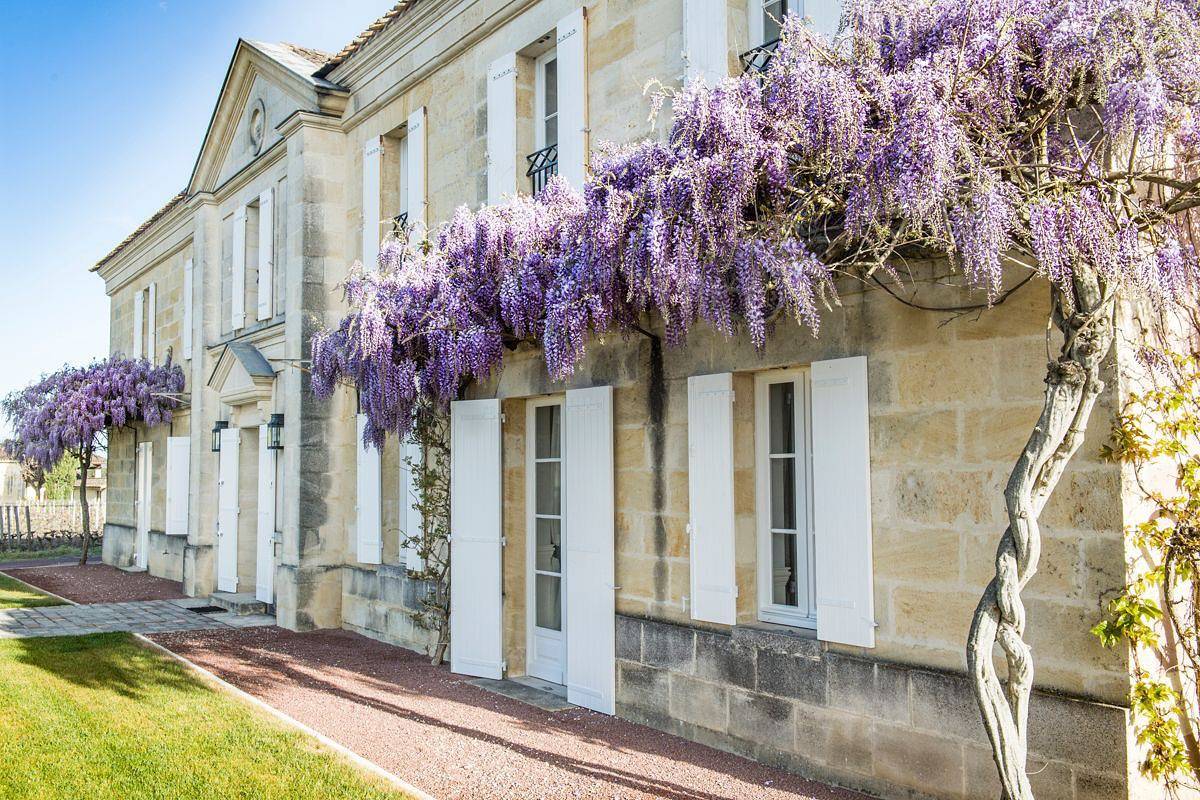 Chateau Grand Cru in Saint-Émilion, Région de Libourne