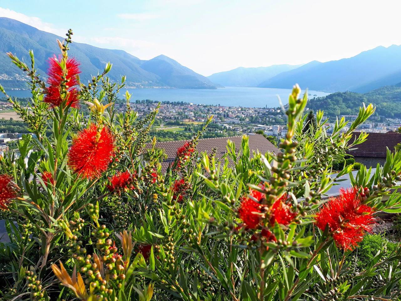 Entire apartment, Vista Panorama - Vista Panorama 525.1 in Monte Brè sopra Locarno, Locarno