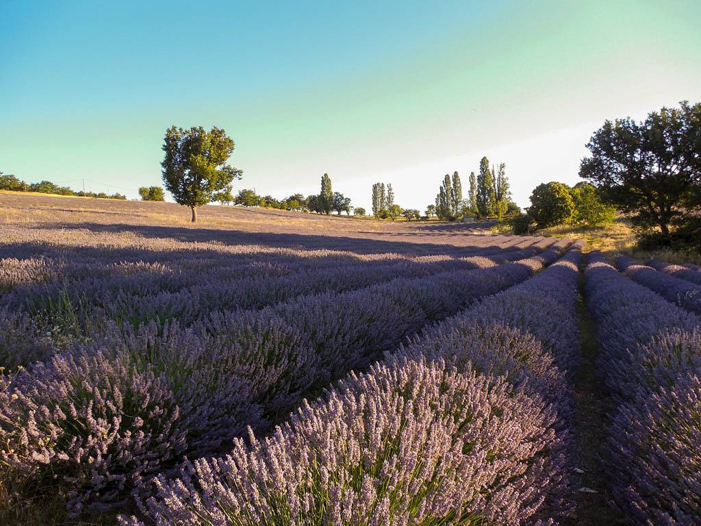 La Ramade in Vachères, Regionaler Naturpark Luberon