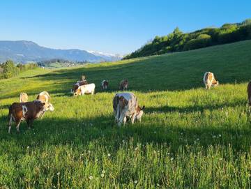 Ferienwohnung für 4 Personen in Neumarkt in Steiermark, Westliche Obersteiermark, Bild 3