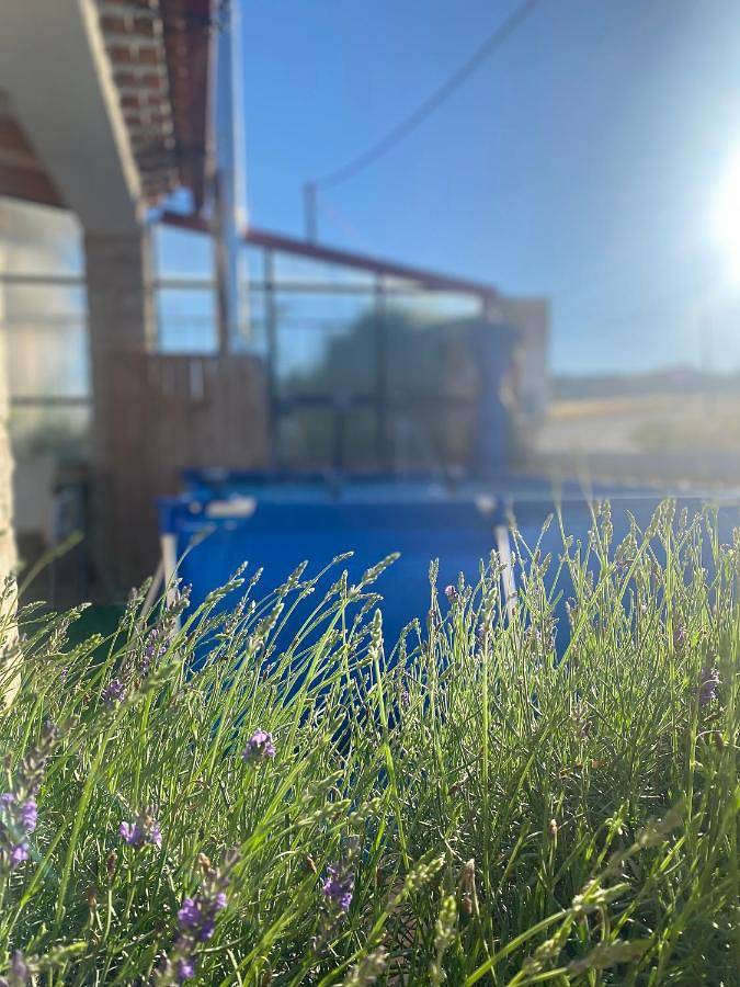 Casa rural para 4 personas, con terraza y vistas en Ossa de Montiel - 2