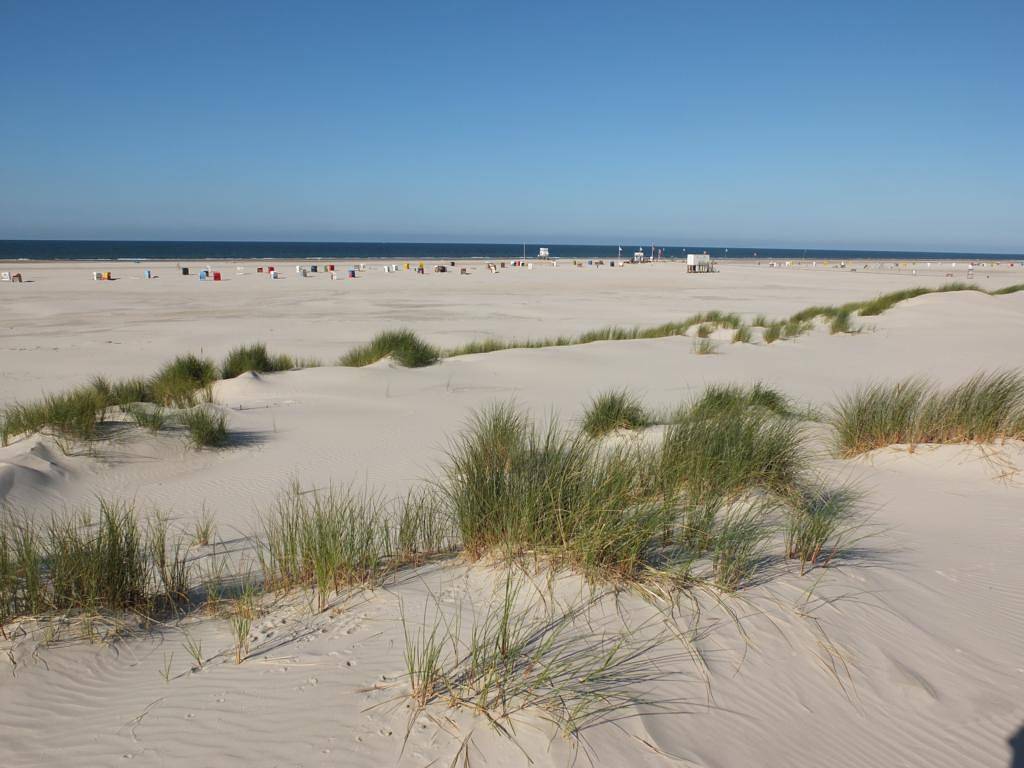 Ganze Ferienwohnung, Haus Dünenrose - Ferienwohnung 5 Austernfischer in Nebel, Amrum