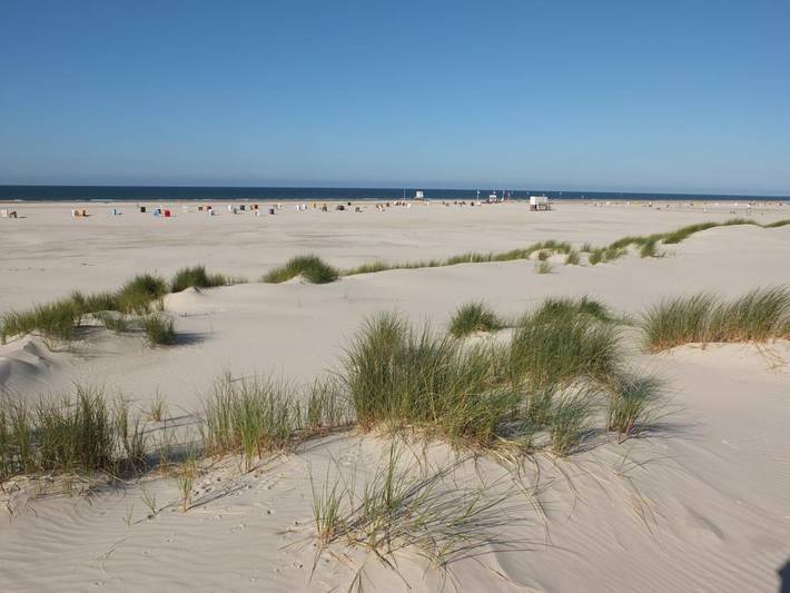 Appartement de vacances entier, Haus Dünenrose - Wohnung 7 in Nebel, Amrum