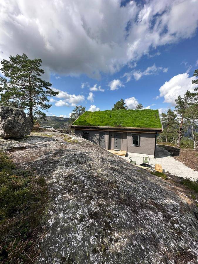 Moderne fjellhytte Gautefall, Norge in Gautefall, Drangedal